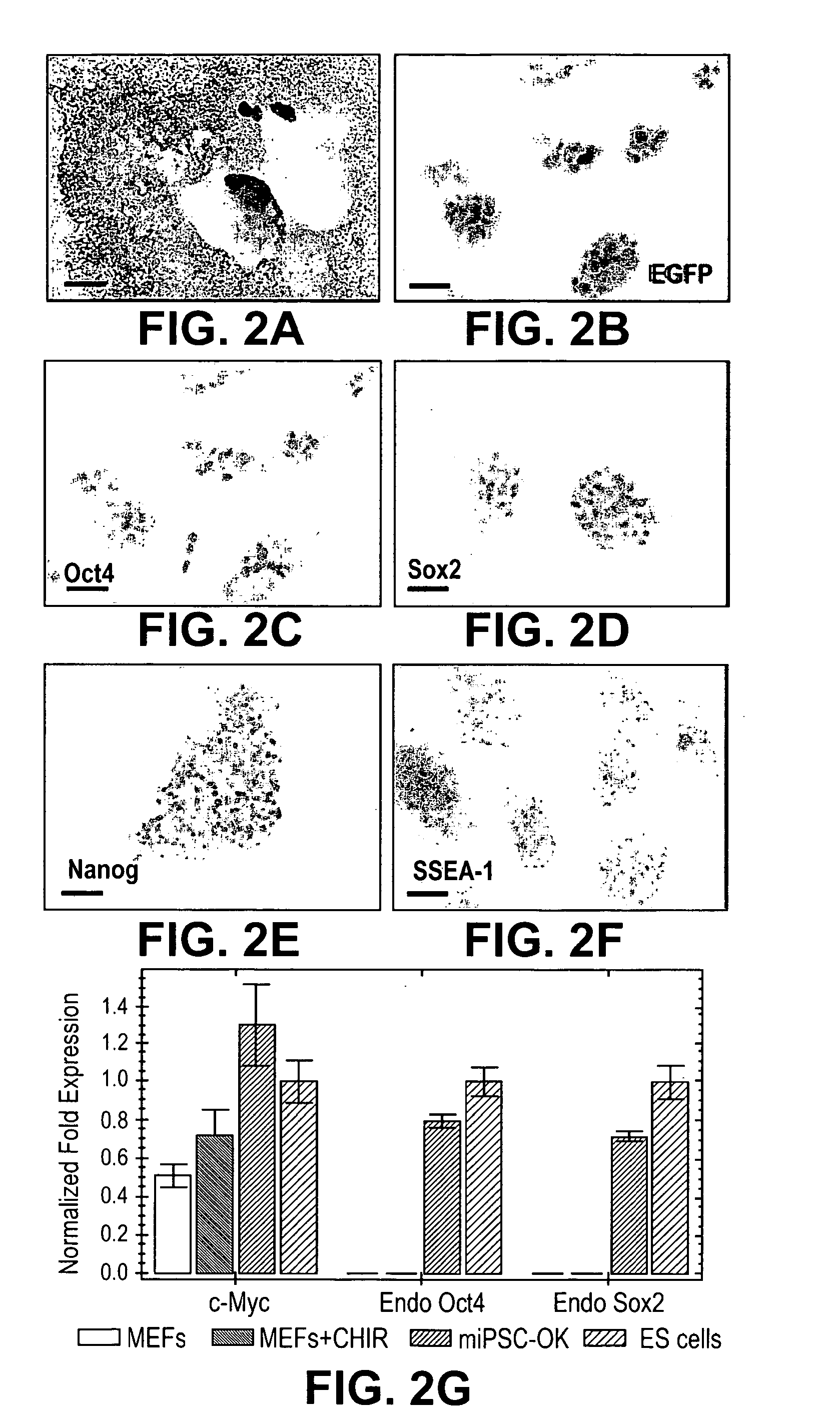 Methods of generating pluripotent stem cells