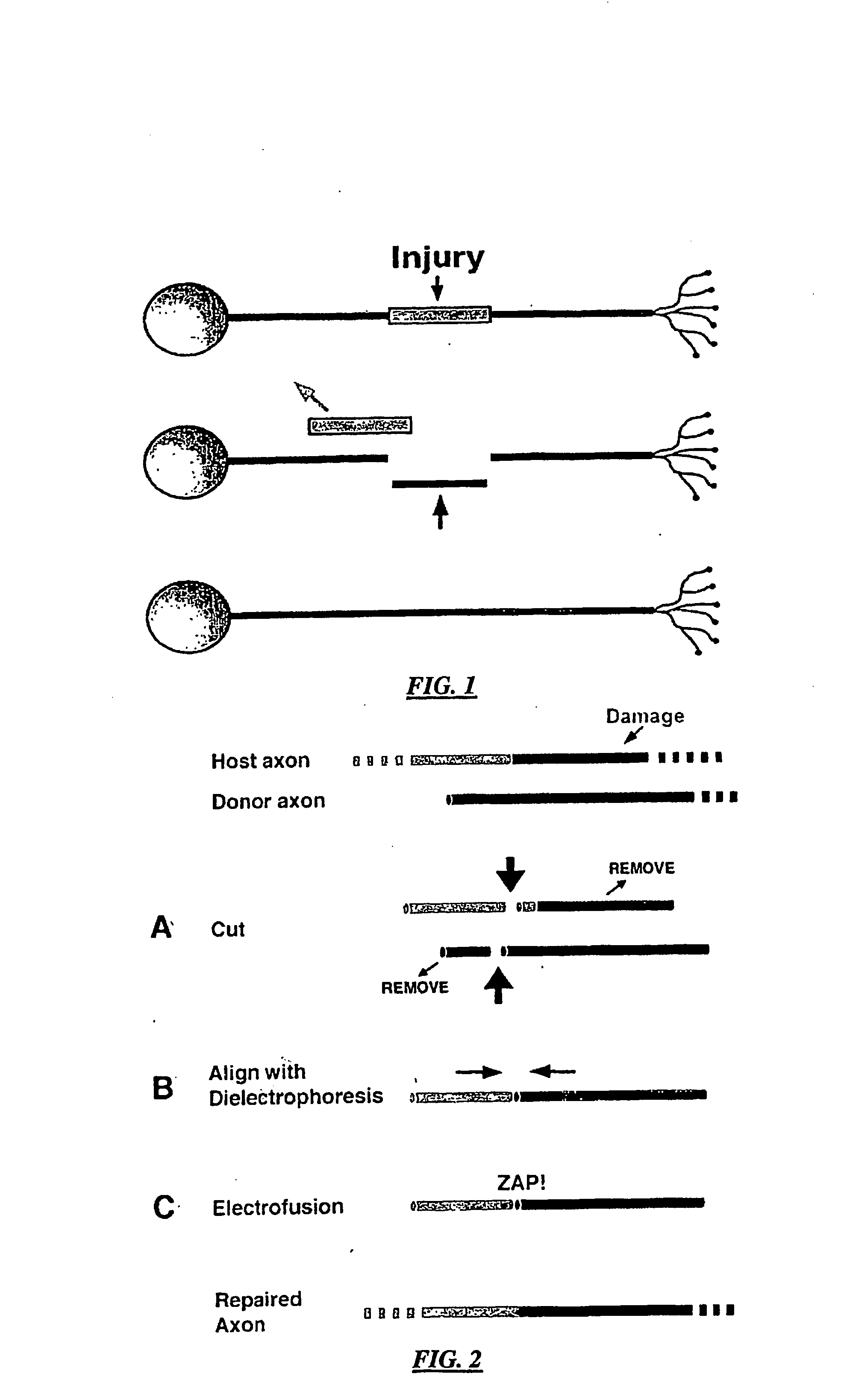 Method and system for nanoknife and MEMS platform