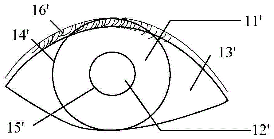 Method and device for identifying irises