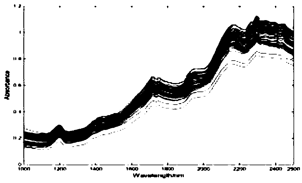 Method for detecting content of lysine based on near-infrared spectrum characteristic data extraction technology