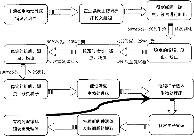 Method for treating sludge in large scale by utilizing earthworm