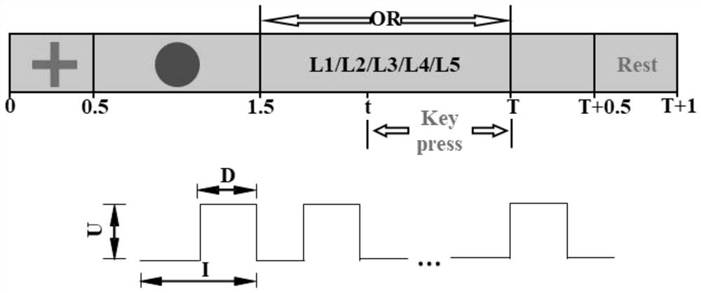 Tactile information processing method based on electroencephalogram ERP (Enterprise Resource Planning)