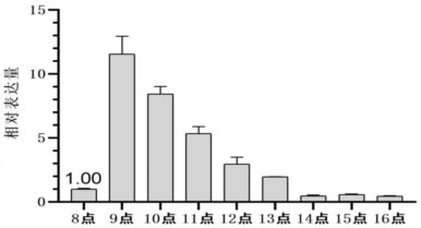 Molecular probe for detecting vitality of musa spp. pollen and preparation method of molecular probe