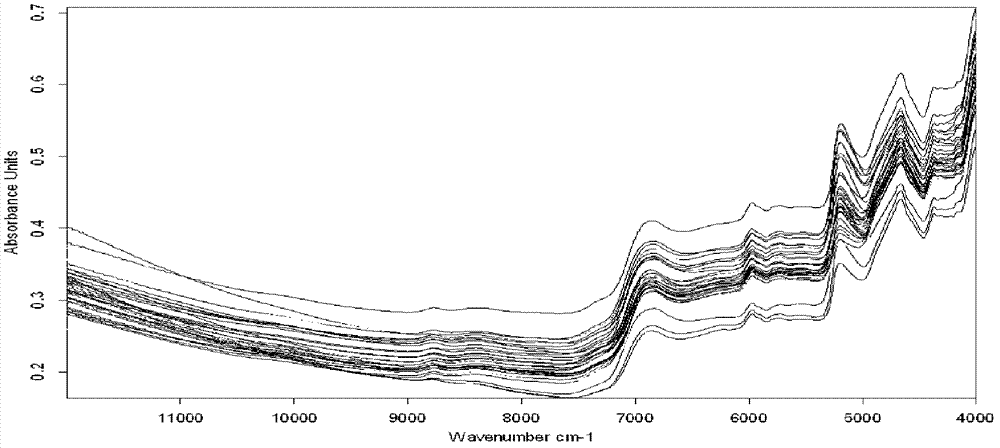 Method for determining content of water in Salvianolic acid for injection through near-infrared diffuse reflection spectrometry