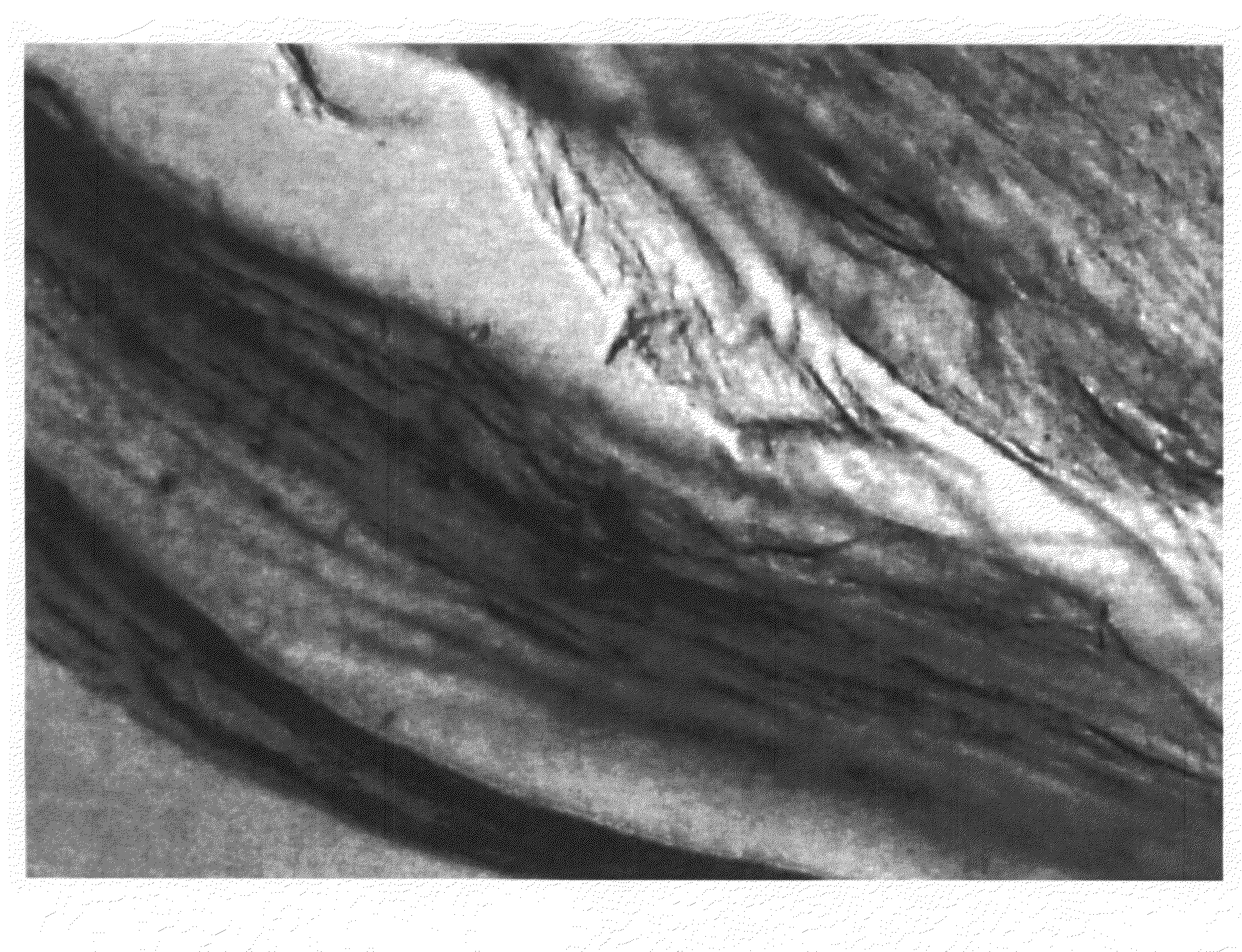 Meat Compositions Comprising Colored Structured Protein Products