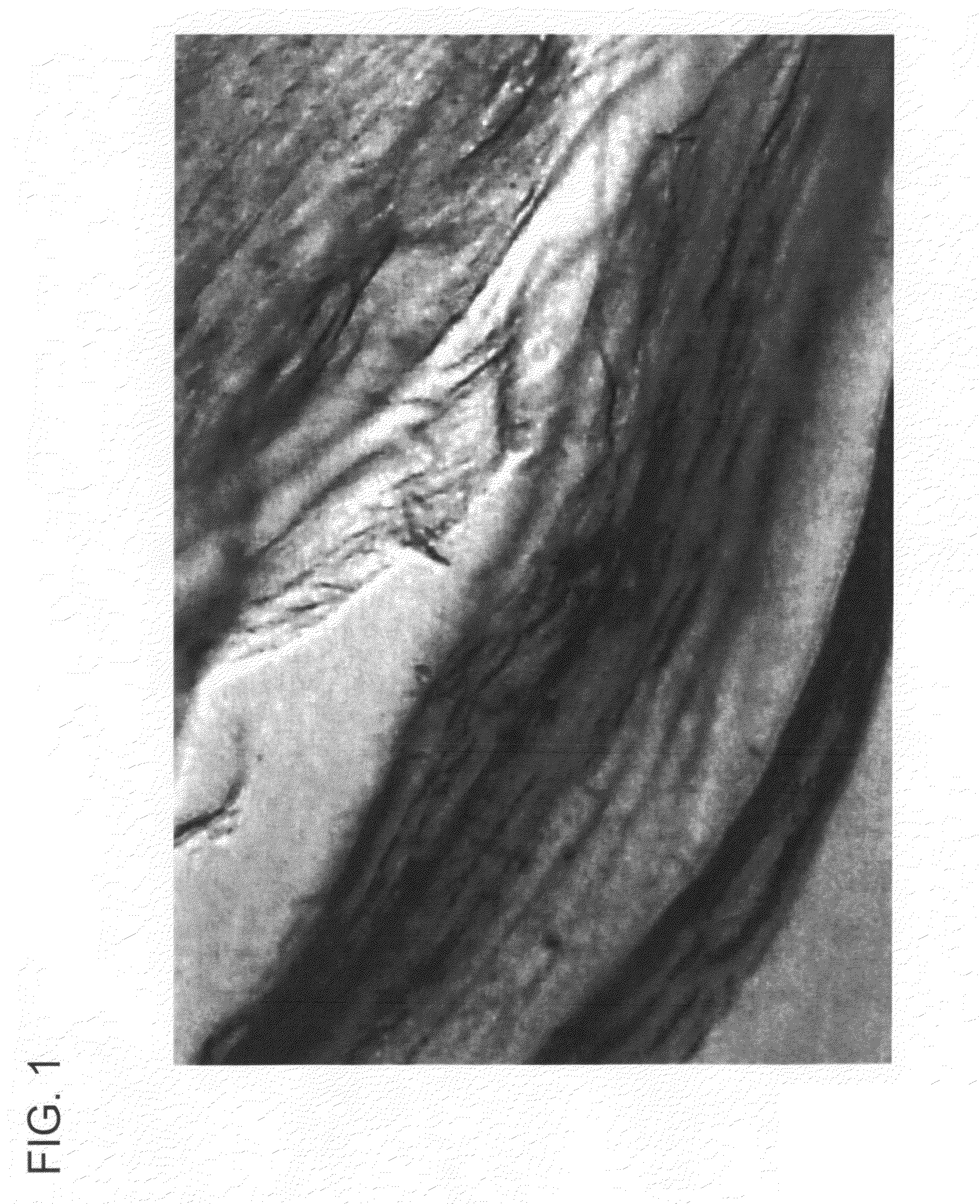 Meat Compositions Comprising Colored Structured Protein Products