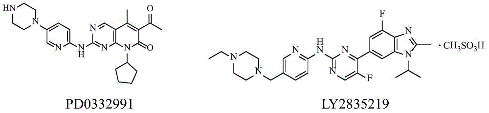 CDK kinase inhibitor