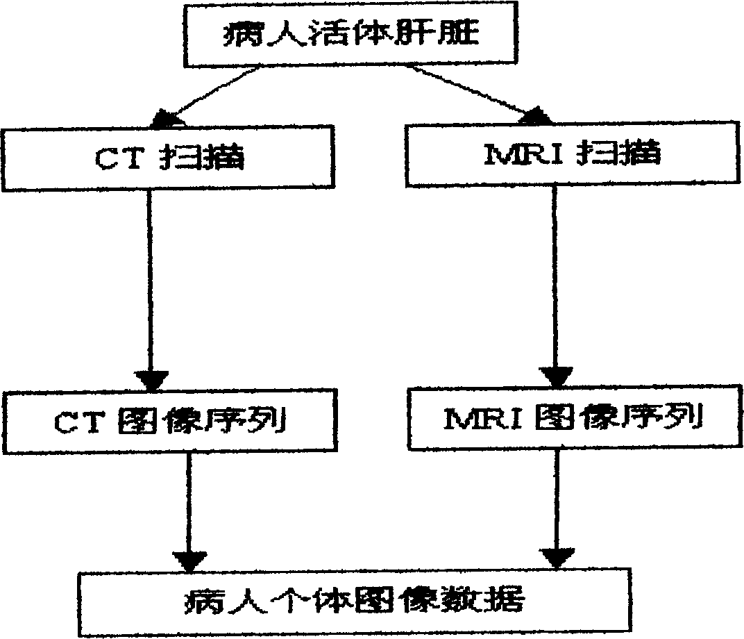 Apparatus and method for processing tumor image information based on digital virtual organ