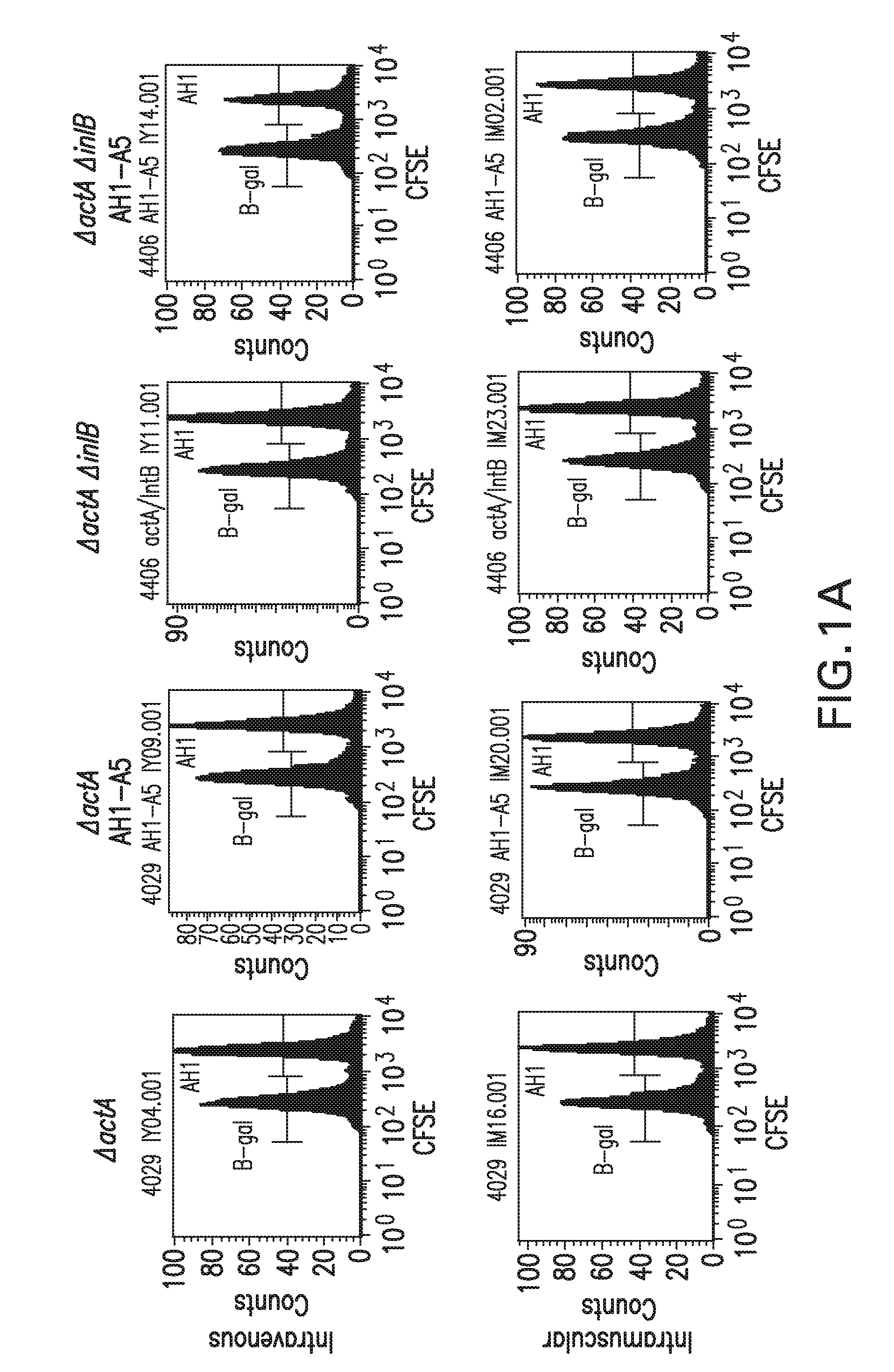 Listeria attenuated for entry into non-phagocytic cells,  vaccines comprising the listeria, and methods of use thereof