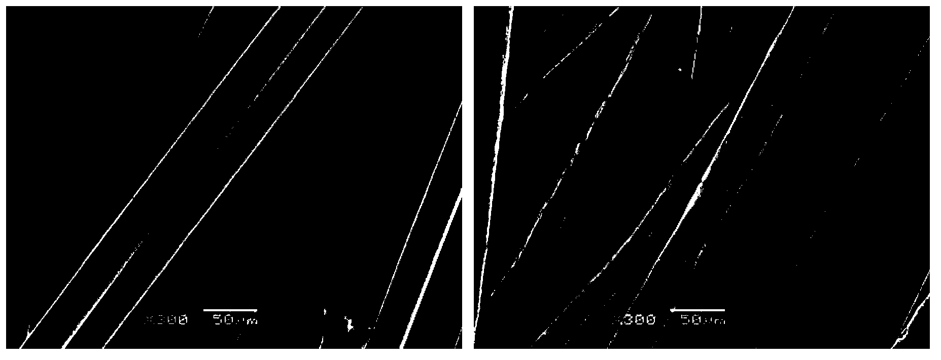 Method of preparing compound conductive fibers, compound conductive fibers obtained by method and application of compound conductive fibers