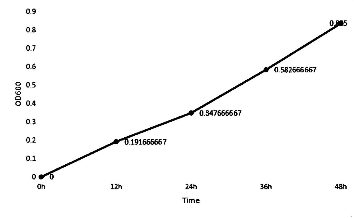 Method for cultivating aspergillus versicolor HY12 strains