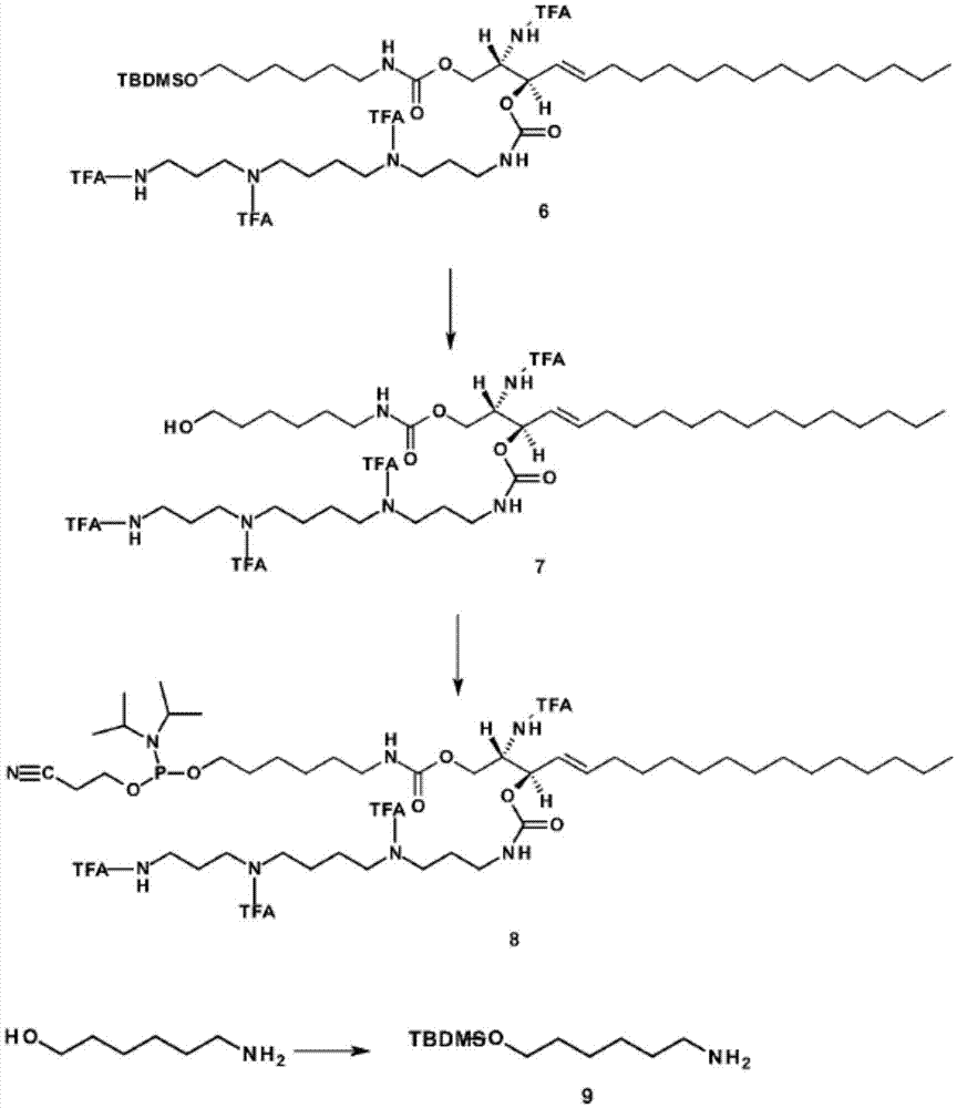 Sphingolipid-polyalkylamine-oligonucleotide compounds