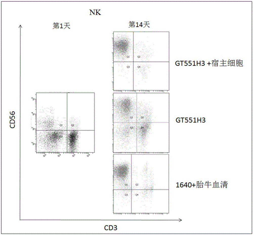 Method for amplifying and activating LAK cells by non-fetus bovine serum