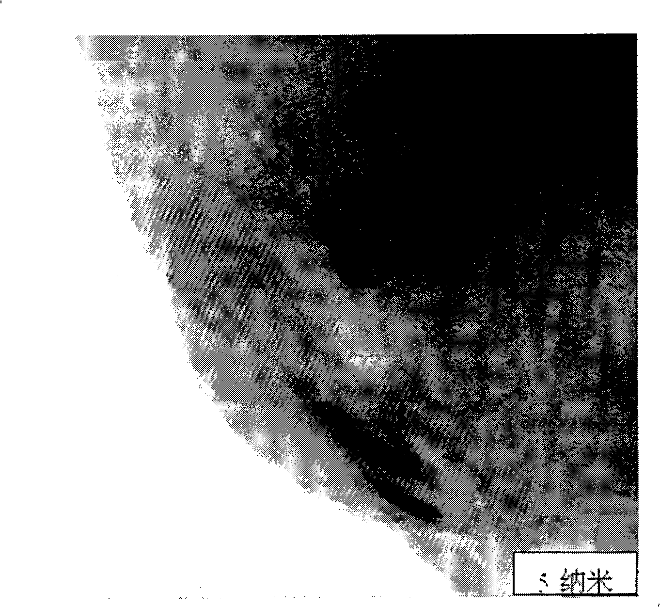 Nano porous gold-loaded ultrathin platinum metallic film catalyst and preparation method thereof