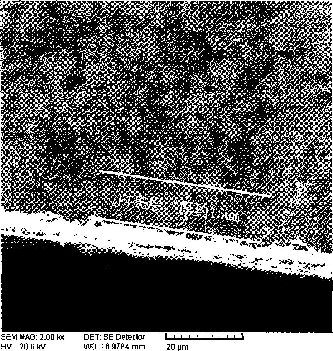 Anti-corrosion and heat tinting composite surface treating method for steel