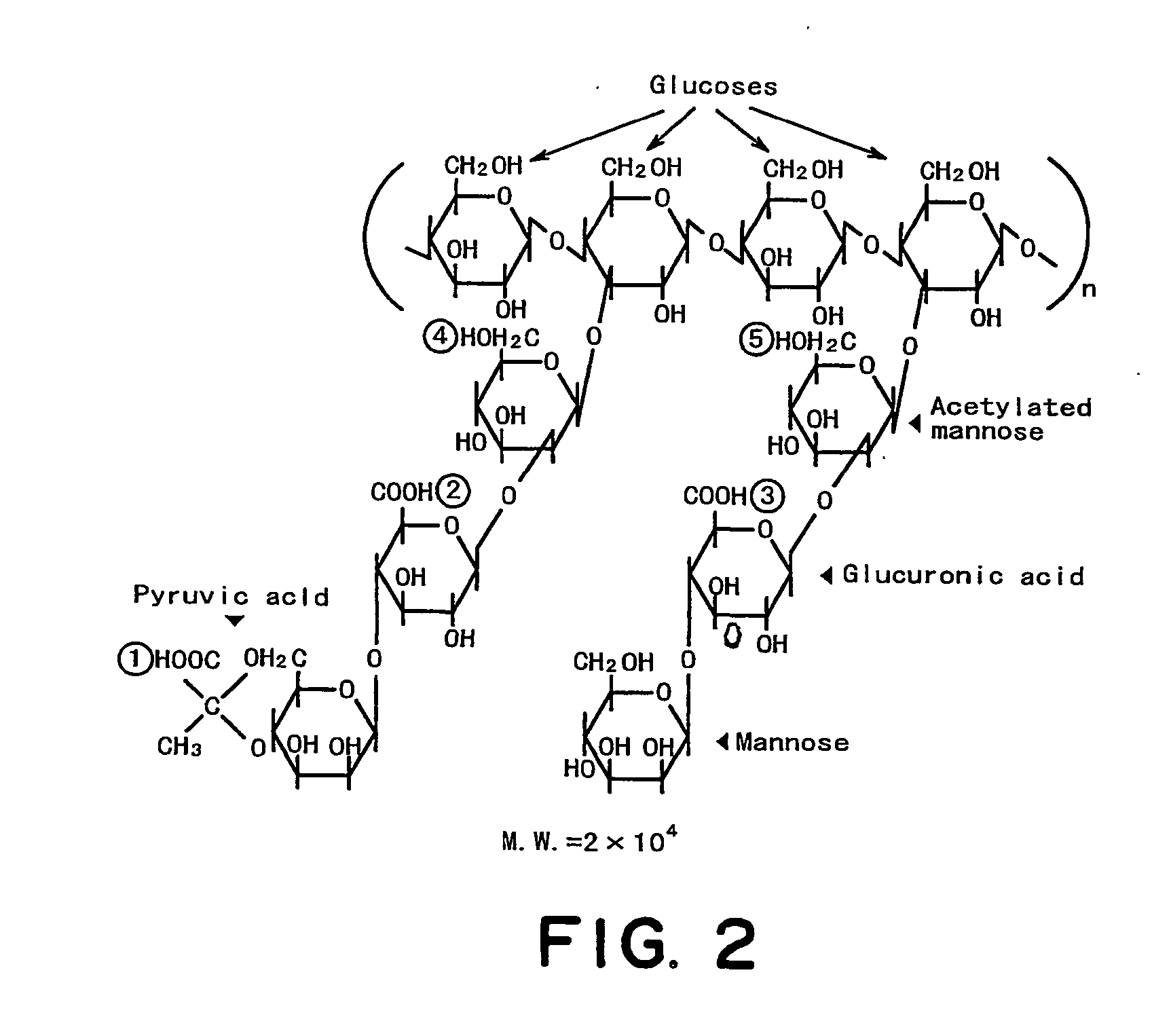 Microcapsule suspension liquid and process for production thereof