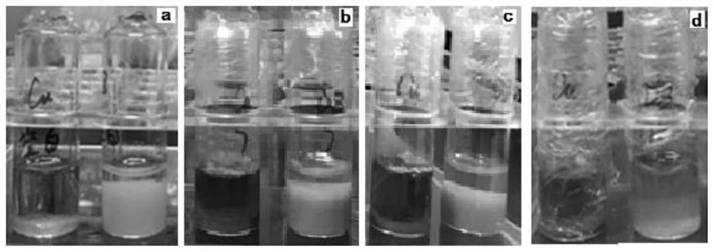 A monohydric phenolic substance urine test kit that resists the interference of urine components and its preparation method, operation method and application