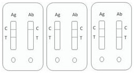 Rapid combined detection device for novel coronavirus antigen and antibody in saliva and preparation method thereof