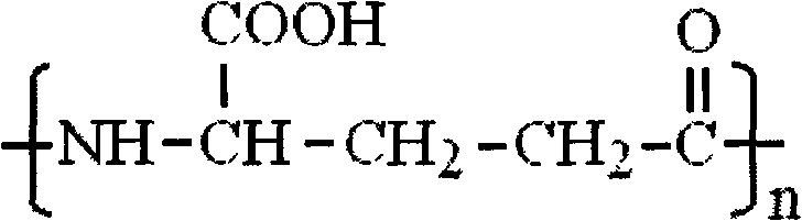 Gamma-polyglutamic acid synthetic bacteria and fermentation method thereof