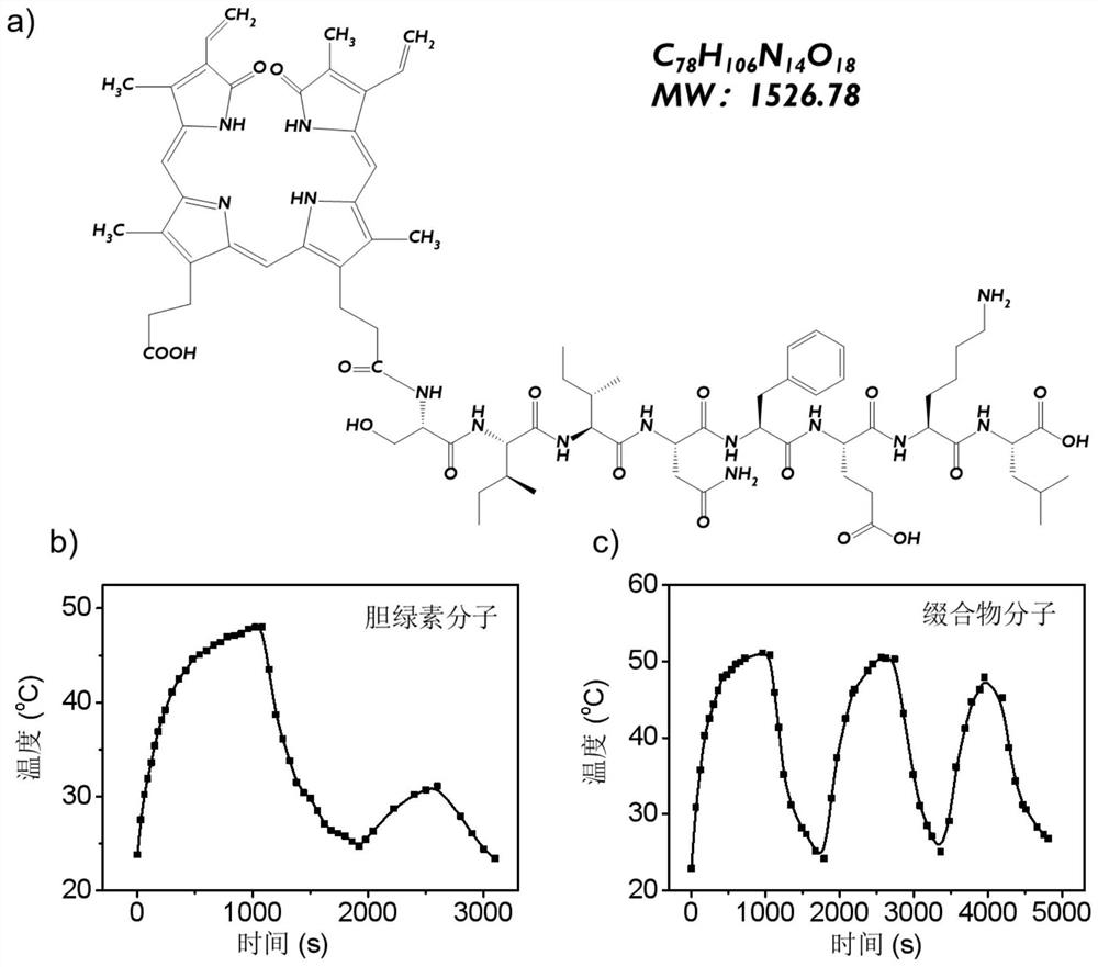 A kind of conjugate of immunoactive peptide-biliverdin, its preparation method and application