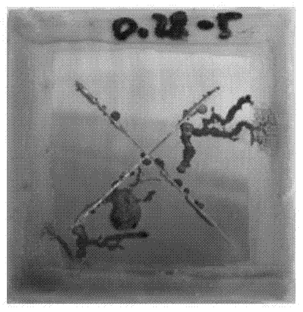 Molybdate-doped polypyrrole/epoxy resin self-healing coating and its preparation and application