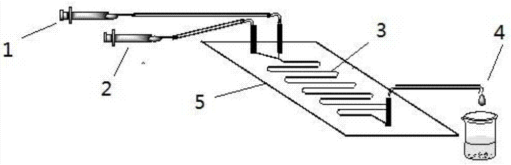 Method for lipase-catalyzed online synthesis of N-(5-glucose ester valeryl)mexiletine