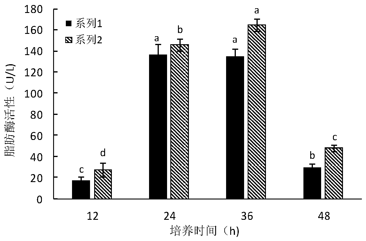 A kind of zinc-rich bacterial strain and its application