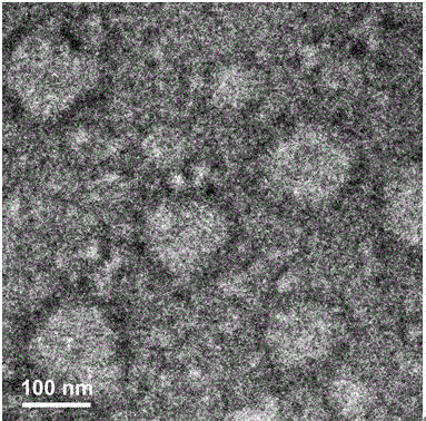 Polylactic acid stereo complex magnetic nanometer vesicle preparation method