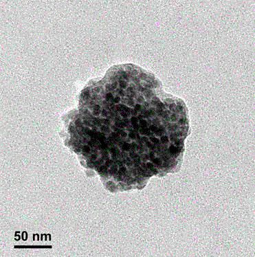 Polylactic acid stereo complex magnetic nanometer vesicle preparation method