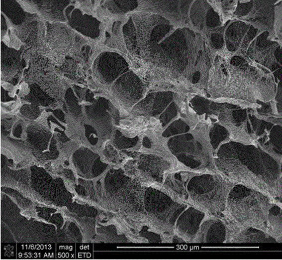 Fish skin collagen support loading epidermal growth factors and preparation method thereof