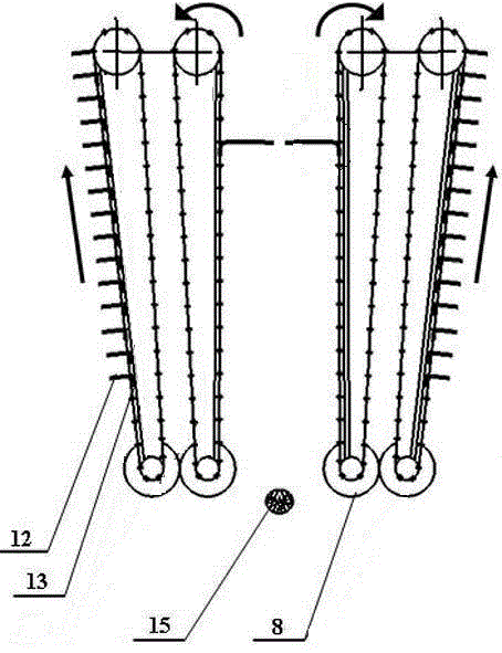 Sugarcane harvester