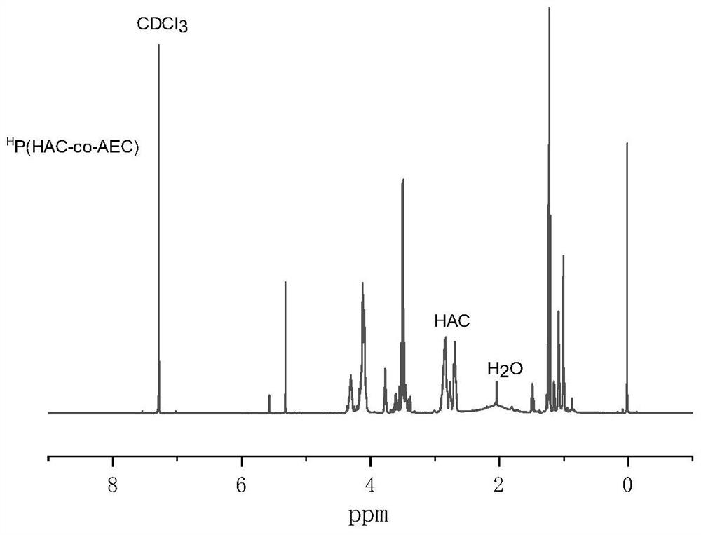 Preparation and application of biodegradable functional hyperbranched polycarbonate compound