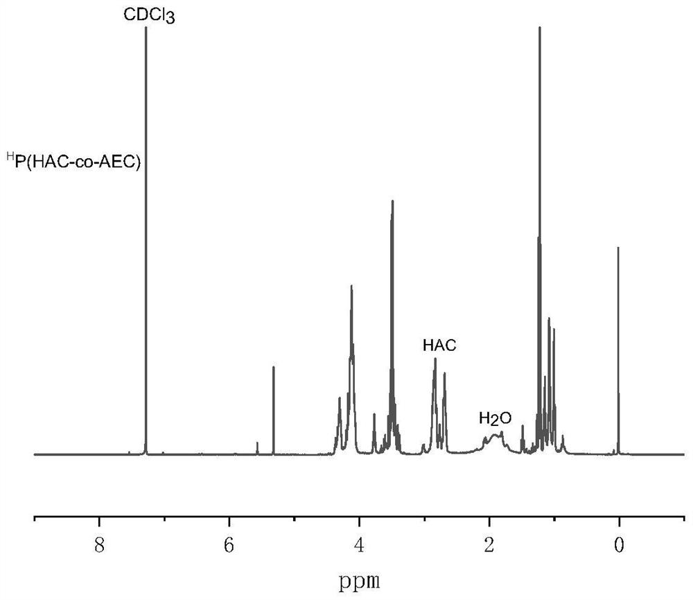 Preparation and application of biodegradable functional hyperbranched polycarbonate compound