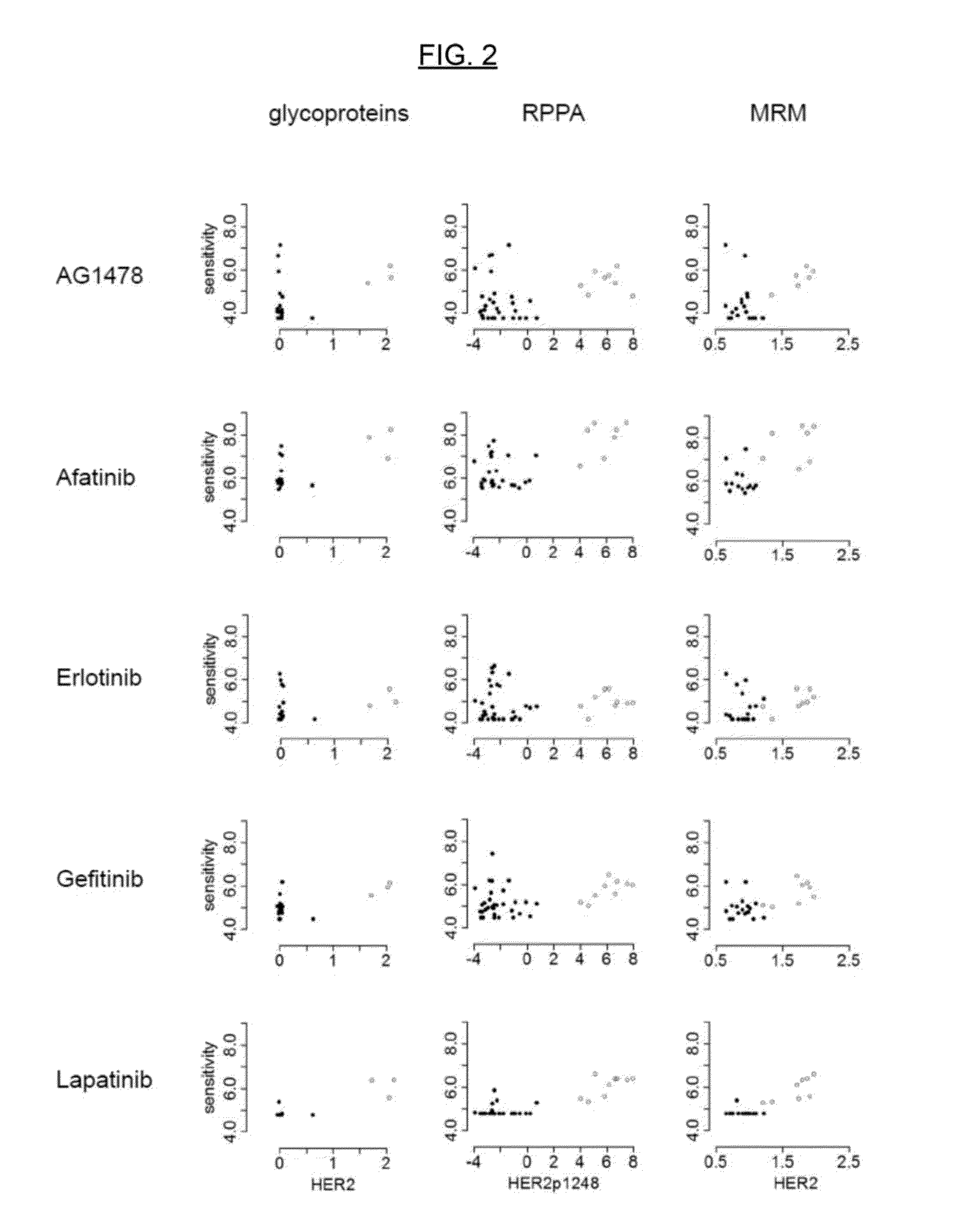 Methods and Models for Determining Likelihood of Cancer Drug Treatment Success Utilizing Predictor Biomarkers, and Methods of Diagnosing and Treating Cancer Using the Biomarkers