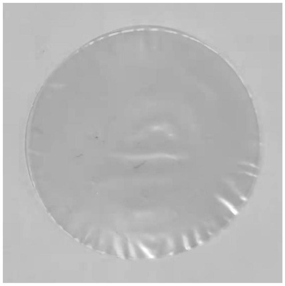 Composite-morphology nano cellulose transparent film based on waste paper and preparation method of composite-morphology nano cellulose transparent film