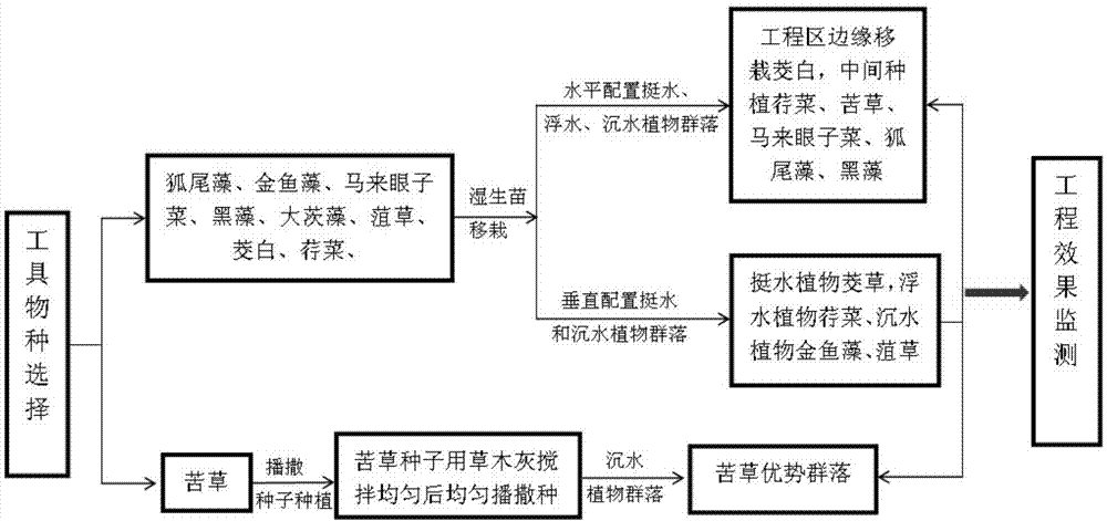 Reconstruction and restoration method for high-water-table and unsteady sunken coal-mining-induced subsidence shallow-water wetland ecosystem