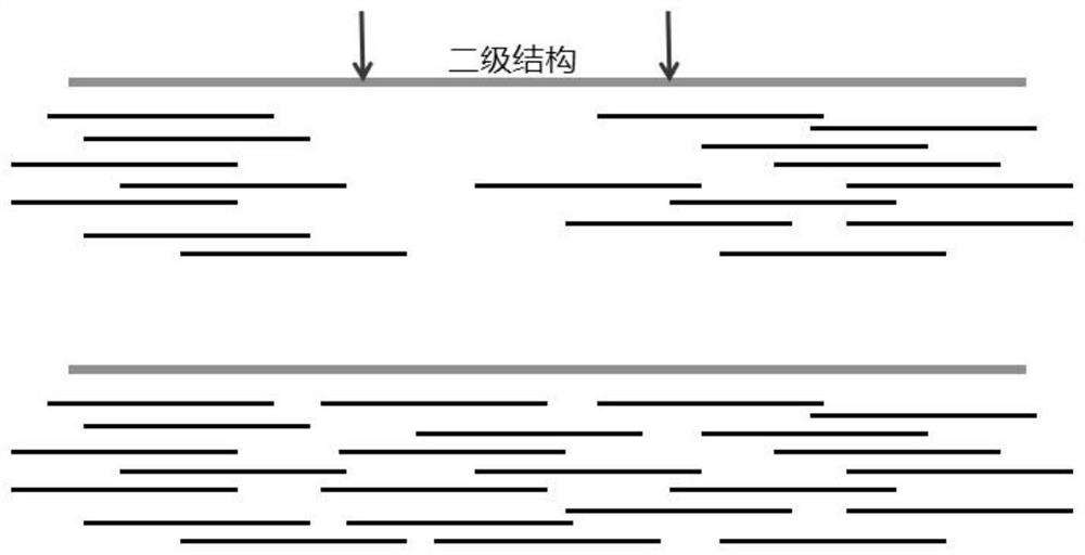 Nucleic acid aptamer screening method