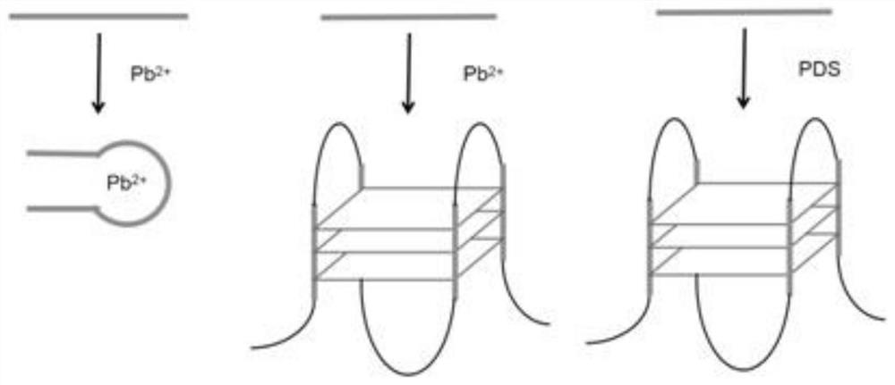 Nucleic acid aptamer screening method