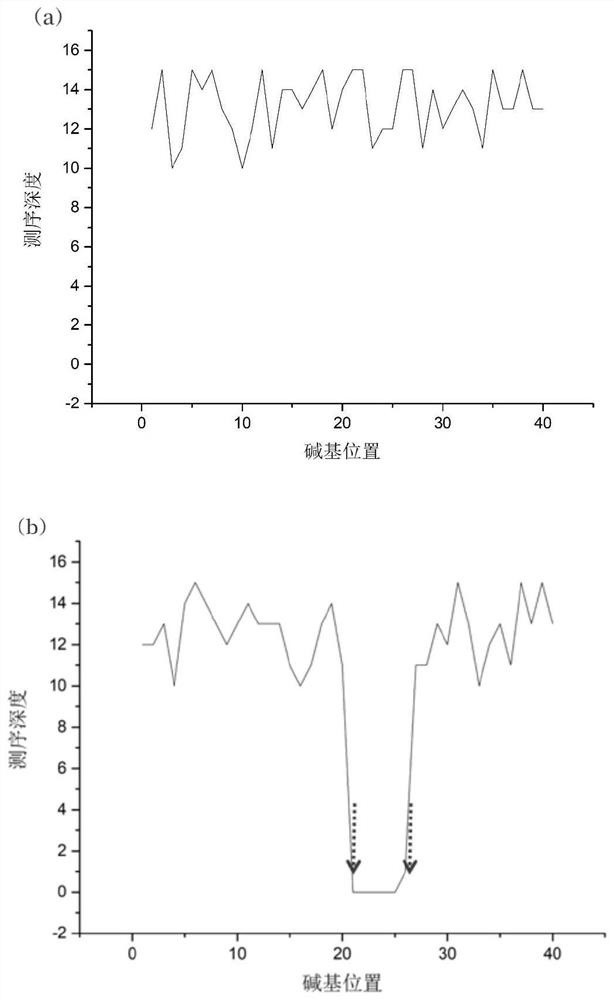 Nucleic acid aptamer screening method