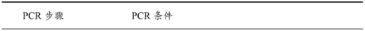 Aspartase mutant, recombinant expression vector containing aspartase mutant, recombinant bacterium and application thereof