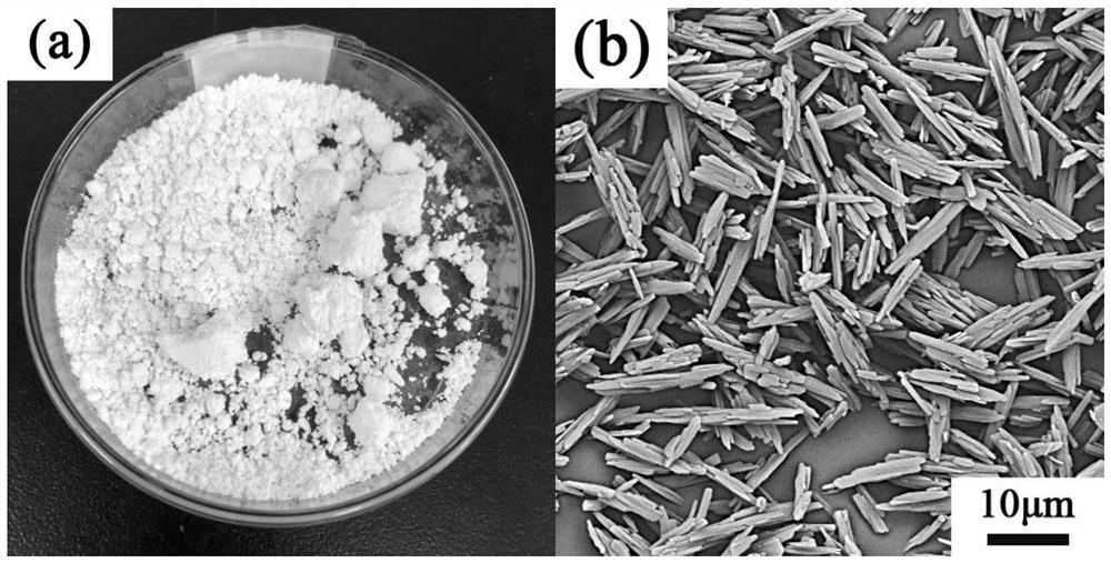 A kind of m-aminobenzoic acid spherical crystal and preparation method thereof