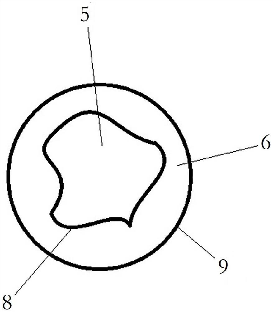 Arteriovenous blood oxygen monitor