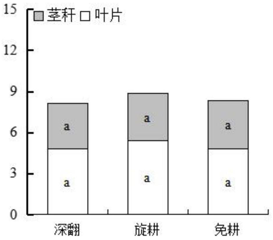 Planting method for improving growth and yield of corn