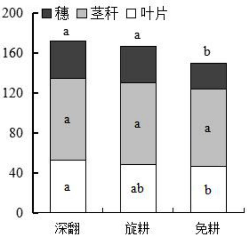 Planting method for improving growth and yield of corn