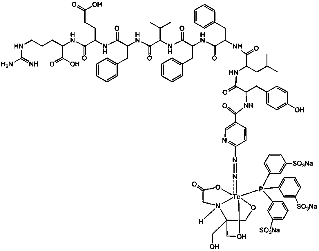 A novel peptide radiopharmaceutical targeting HER2 and its preparation method and application