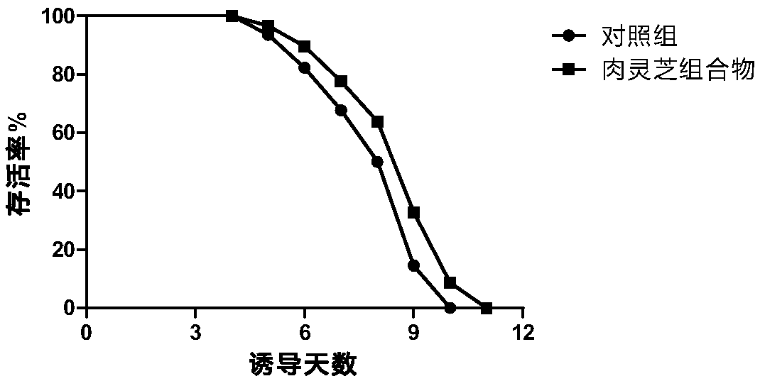 Ganoderma lucidum composition, and application thereof in Alzheimer's disease