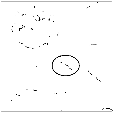 Seismic fault enhancement method based on Ho-RPCA