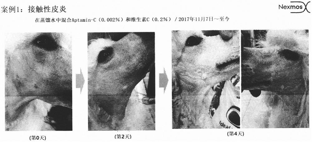 Composition for alleviating and treating hair loss, hair damage, and skin disease of animal, comprising aptamin c as active ingredient