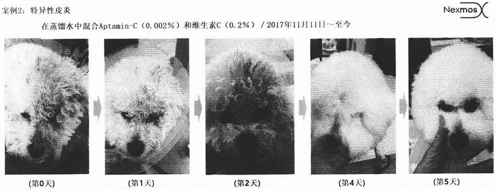 Composition for alleviating and treating hair loss, hair damage, and skin disease of animal, comprising aptamin c as active ingredient