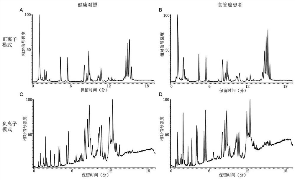 Diagnostic marker, kit and screening method for esophageal cancer diagnosis and construction method of esophageal cancer diagnosis model